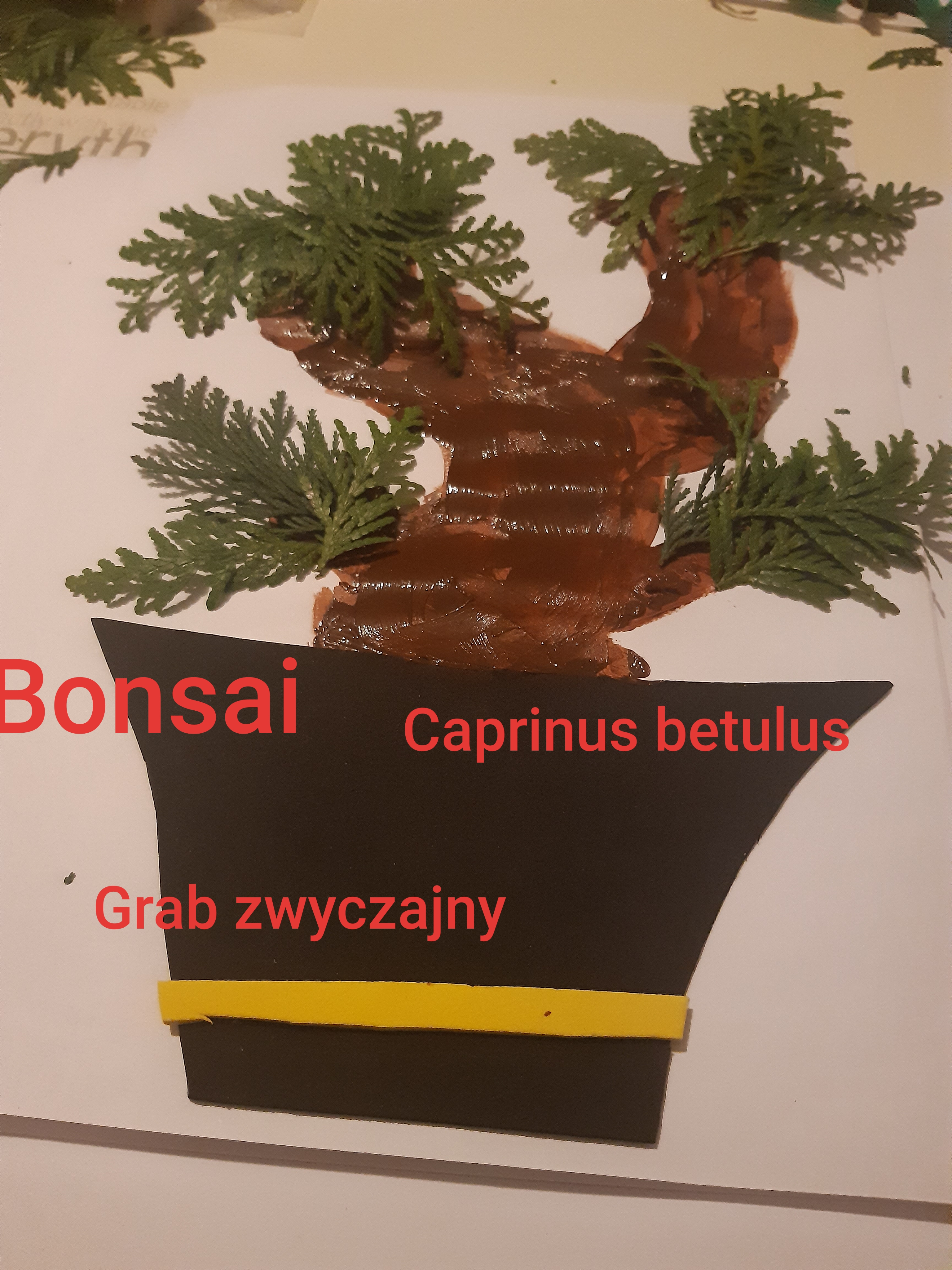 III miejsce Alan Ksy